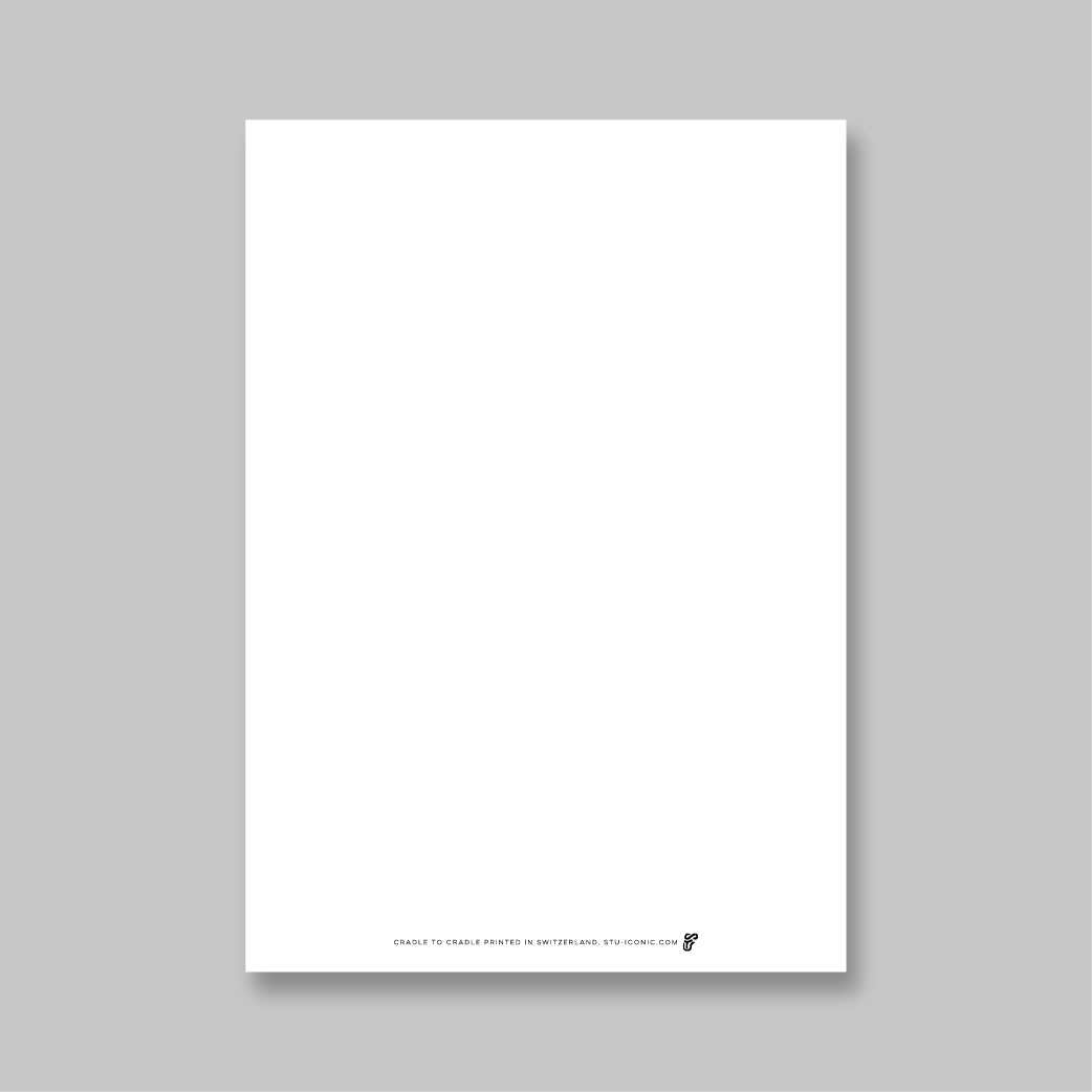 Argentinas Former No. 10 Postcard